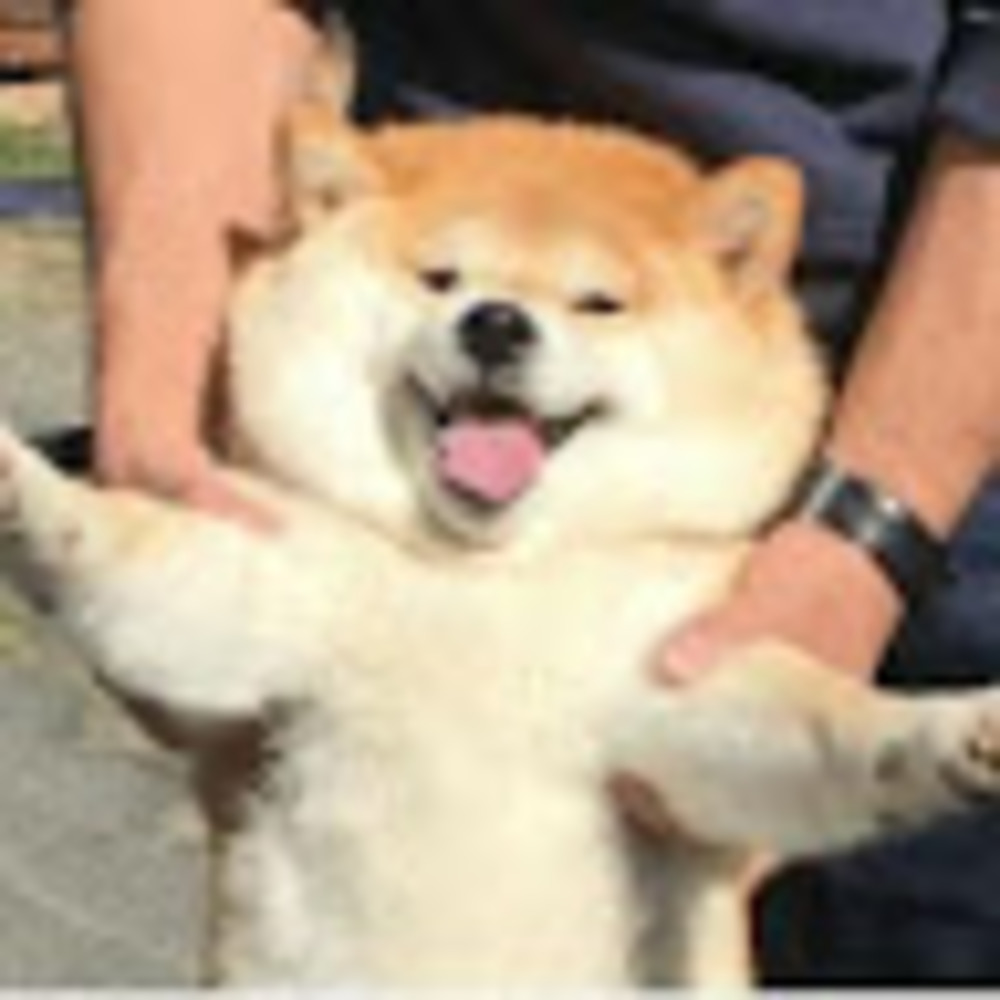 Meet your Posher, Ssshibe